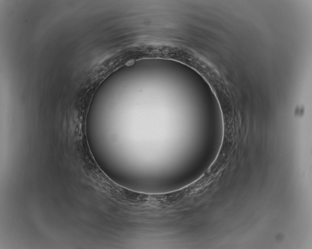 X0000097651013200802291445