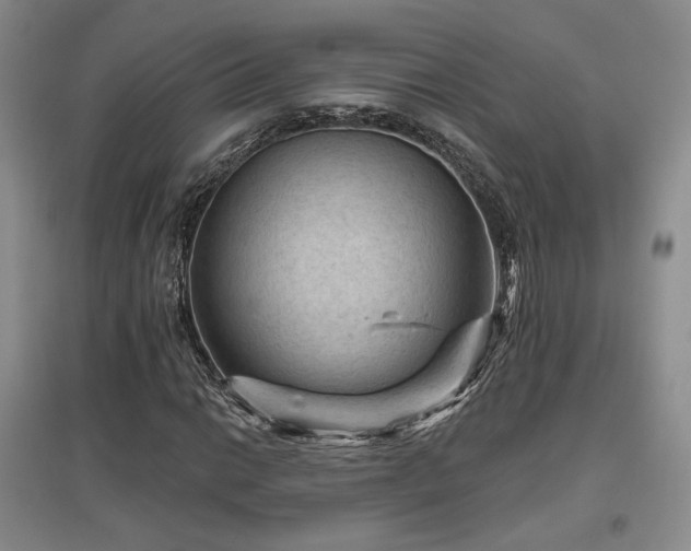 X0000097651014200802291445