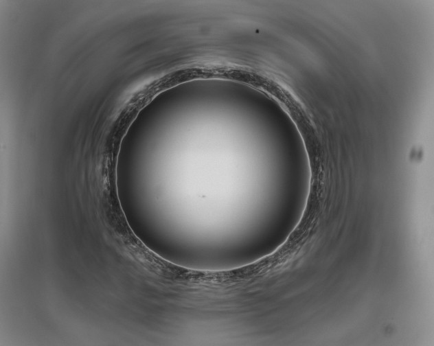 X0000097651016200802291445