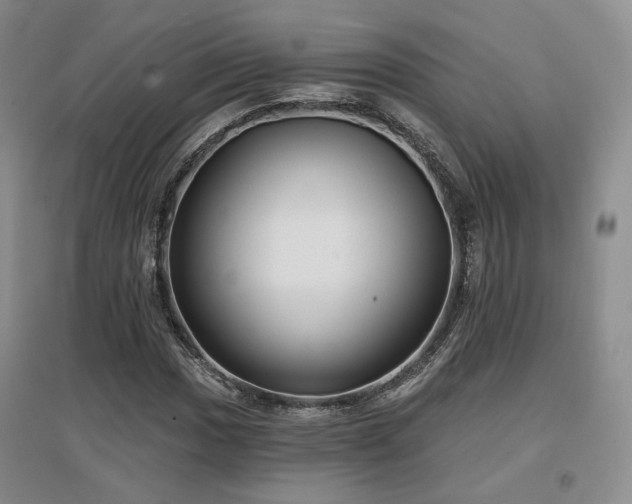 X0000097651017200802291445