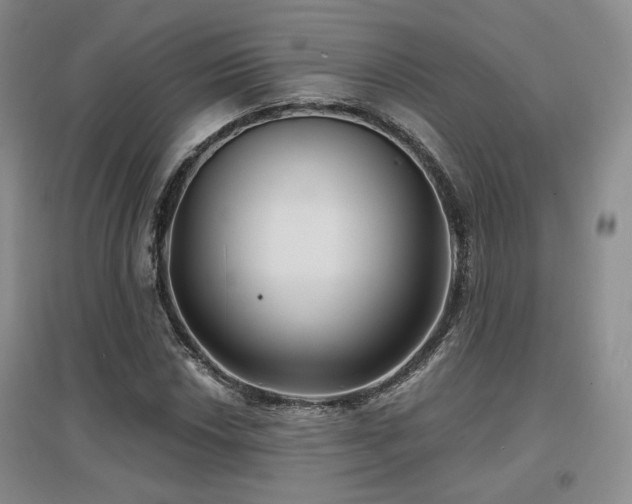 X0000097651018200802291445
