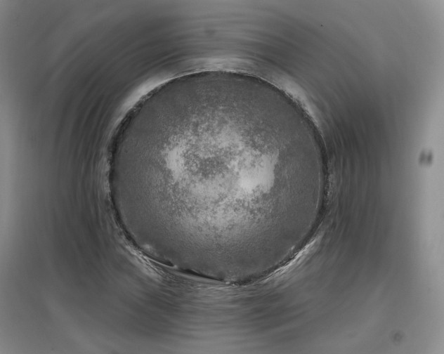 X0000097651019200802291445