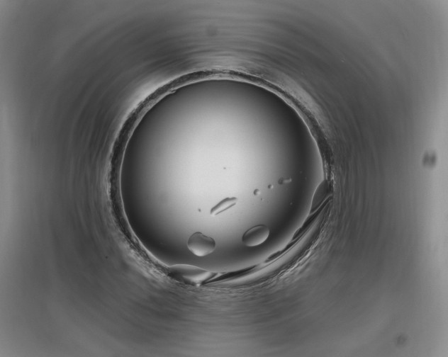 X0000097651020200802291445