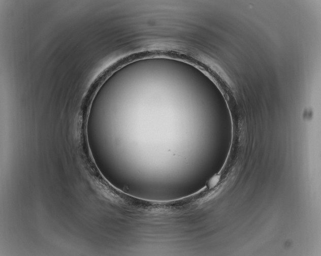 X0000097651021200802291445