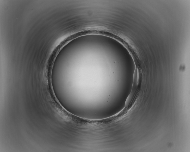 X0000097651022200802291445