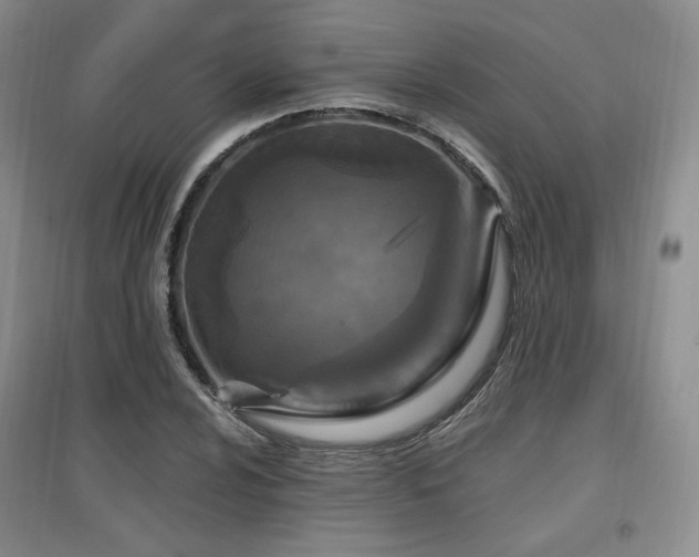 X0000097651024200802291445