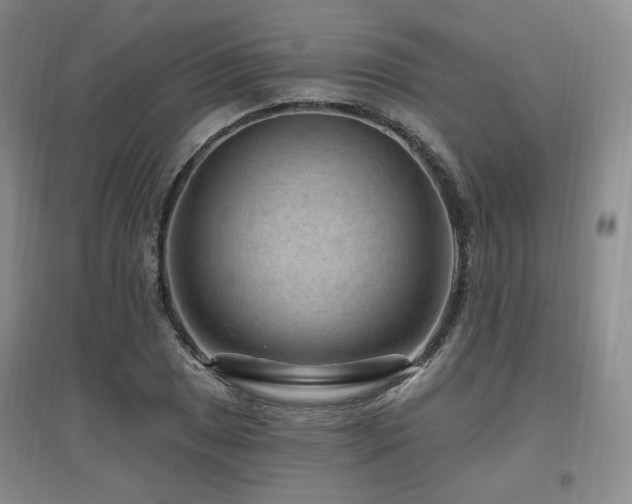 X0000097651025200802291445