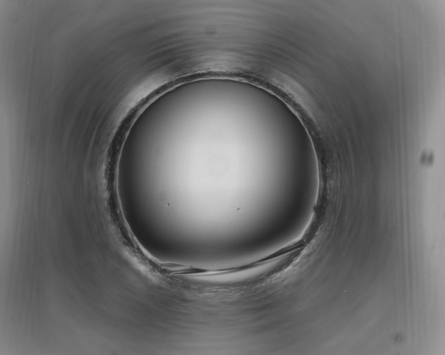 X0000097651026200802291445