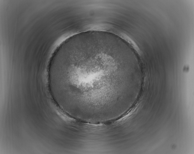 X0000097651027200802291445
