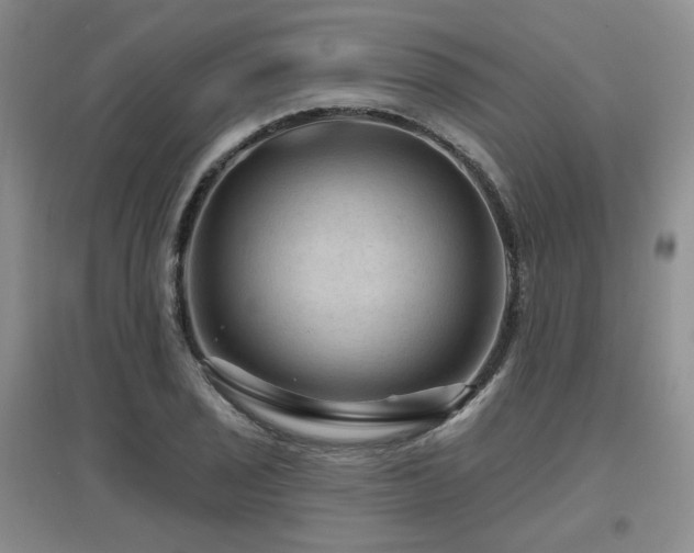 X0000097651029200802291445