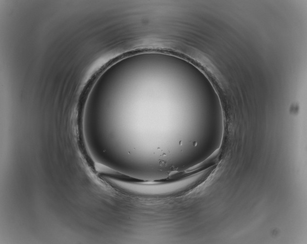 X0000097651030200802291445