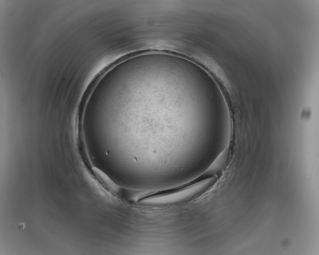 X0000097651032200802291445