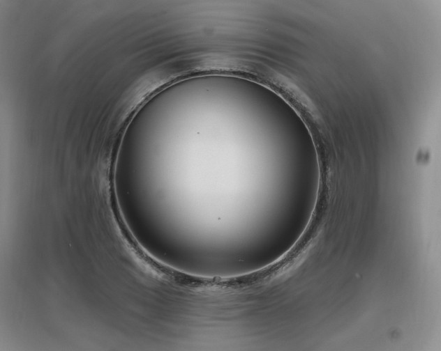 X0000097651033200802291445