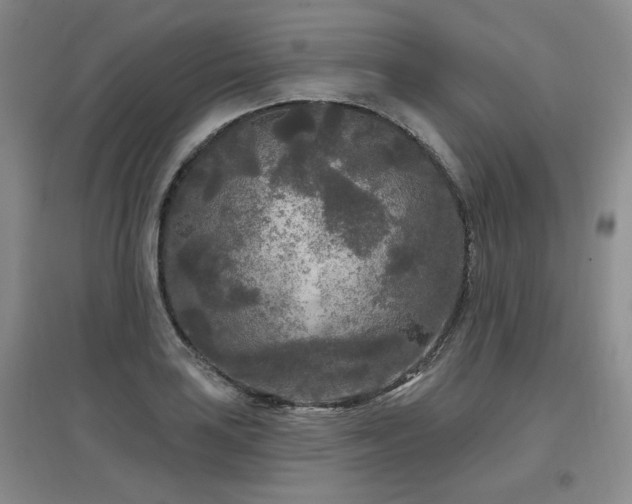 X0000097651035200802291445