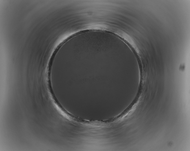X0000097651037200802291445