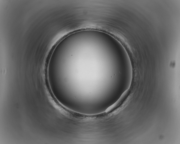 X0000097651038200802291445
