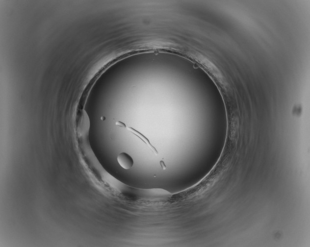 X0000097651039200802291445