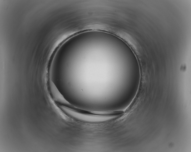 X0000097651040200802291445