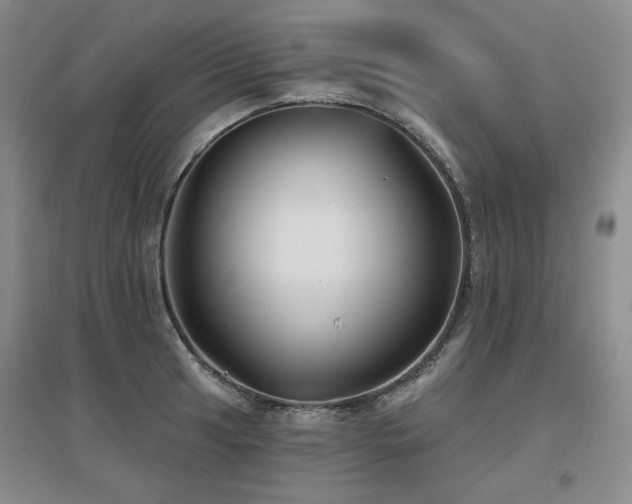 X0000097651041200802291445