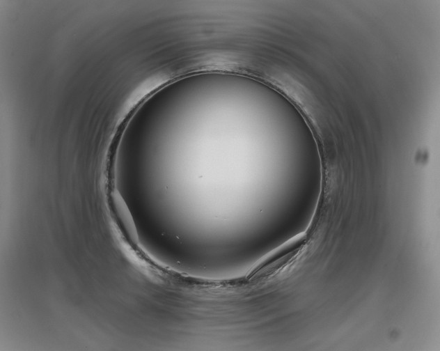 X0000097651042200802291445