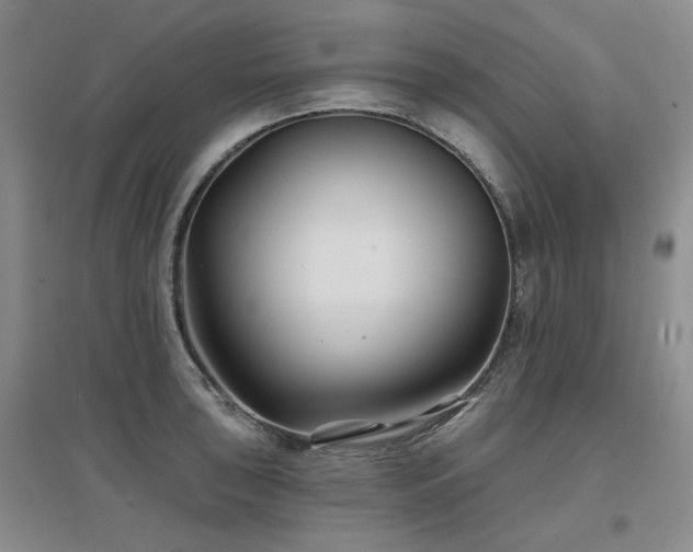 X0000097651043200802291445