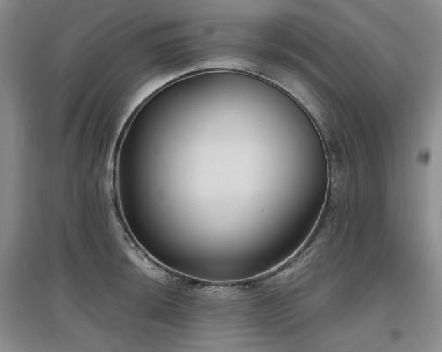 X0000097651044200802291445