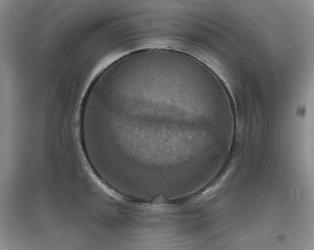 X0000097651045200802291446