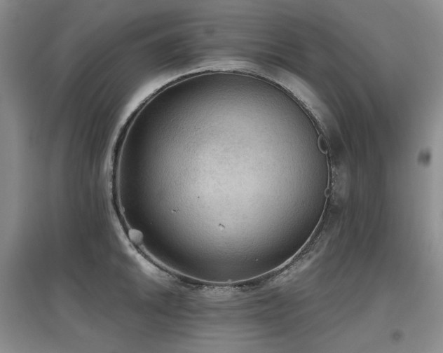 X0000097651046200802291446