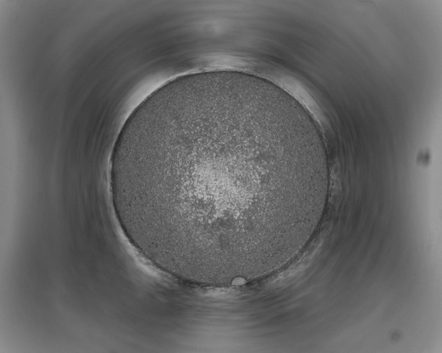 X0000097651047200802291446