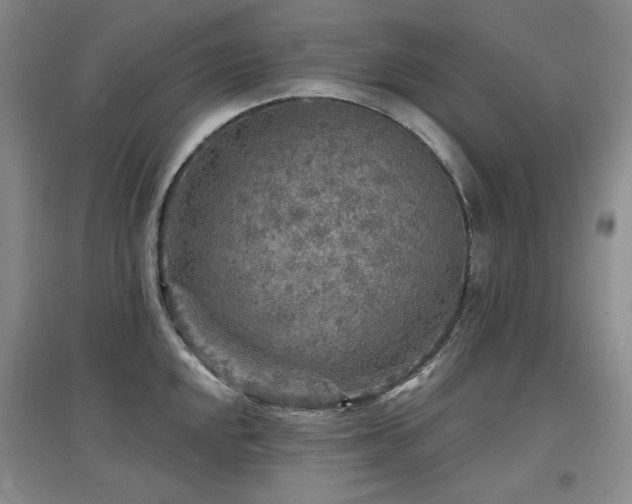 X0000097651048200802291446