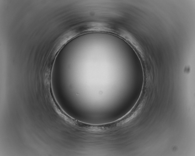 X0000097651049200802291446