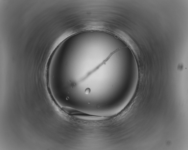 X0000097651050200802291446