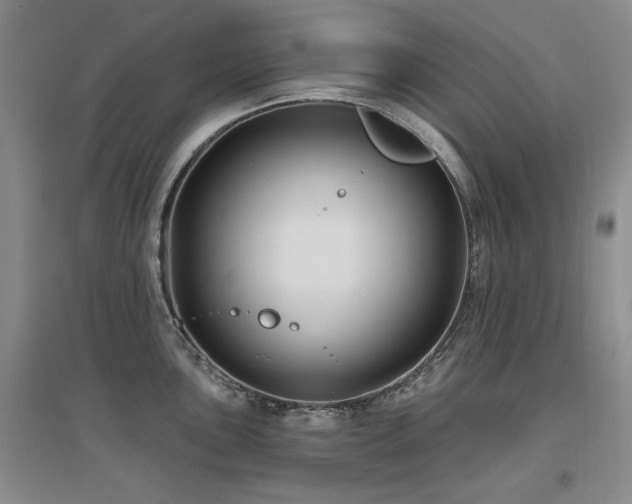 X0000097651051200802291446