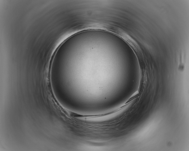 X0000097651052200802291446