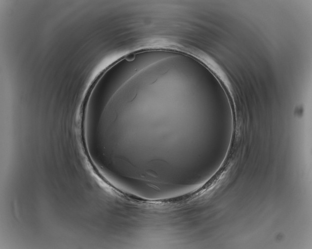 X0000097651053200802291446