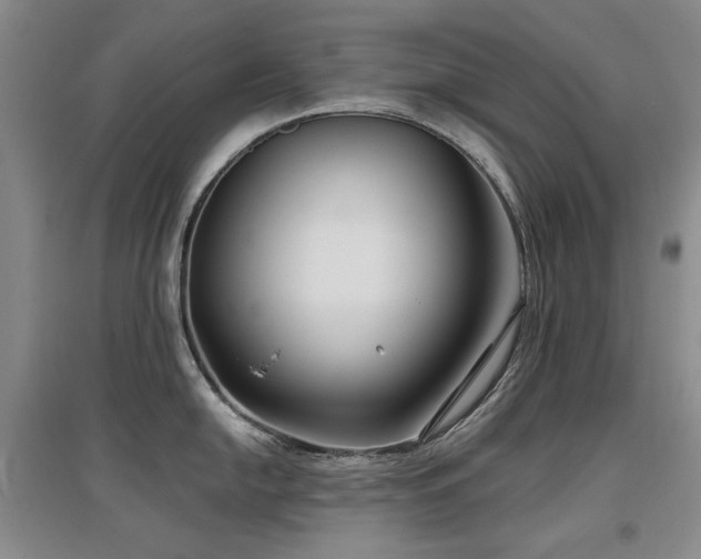 X0000097651054200802291446