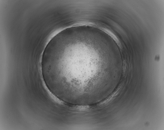 X0000097651055200802291446