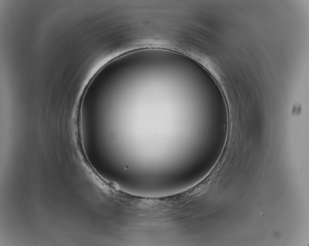 X0000097651056200802291446