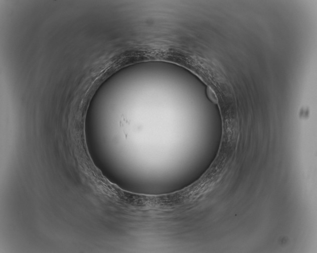 X0000097651057200802291445