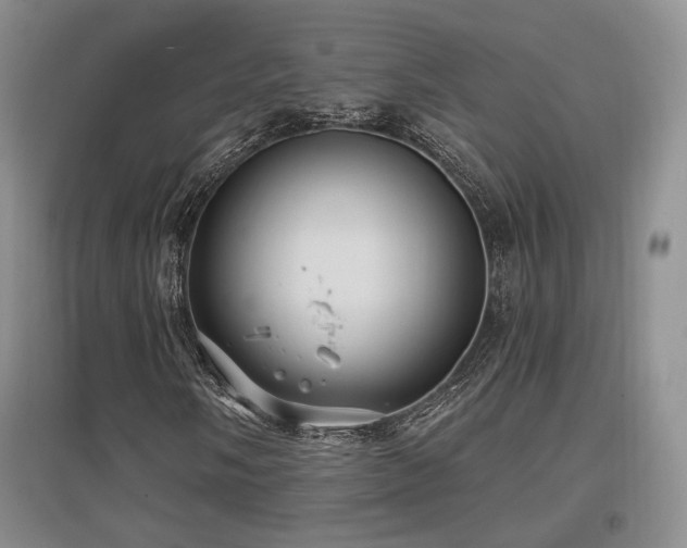 X0000097651058200802291445