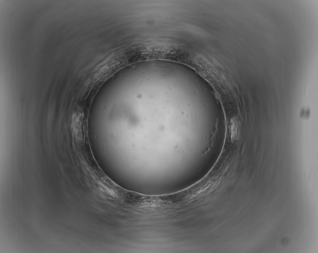 X0000097651059200802291445