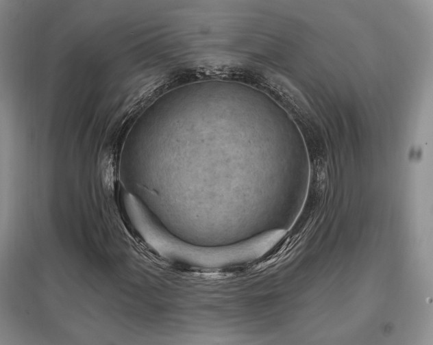 X0000097651060200802291445