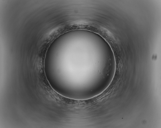 X0000097651062200802291445