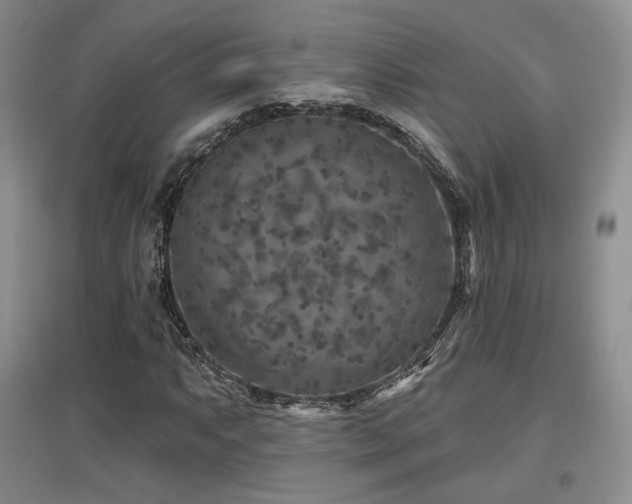 X0000097651063200802291445