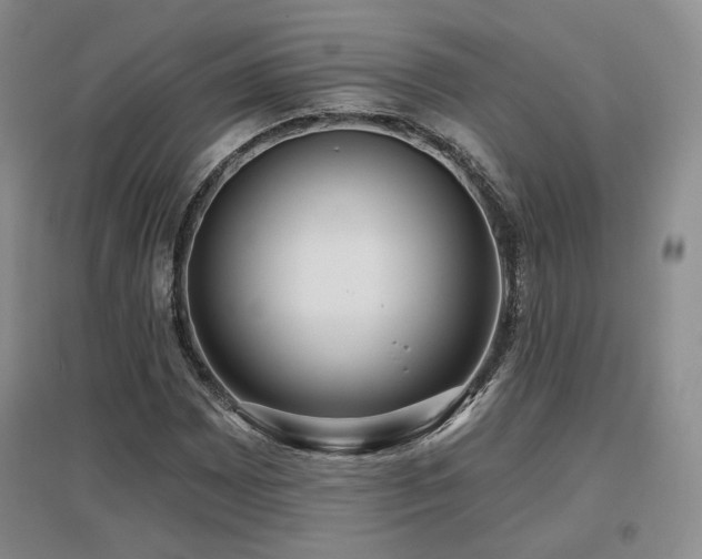 X0000097651065200802291445