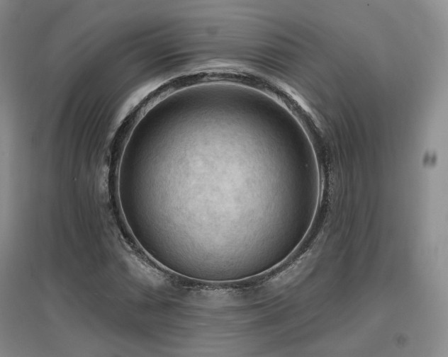 X0000097651066200802291445