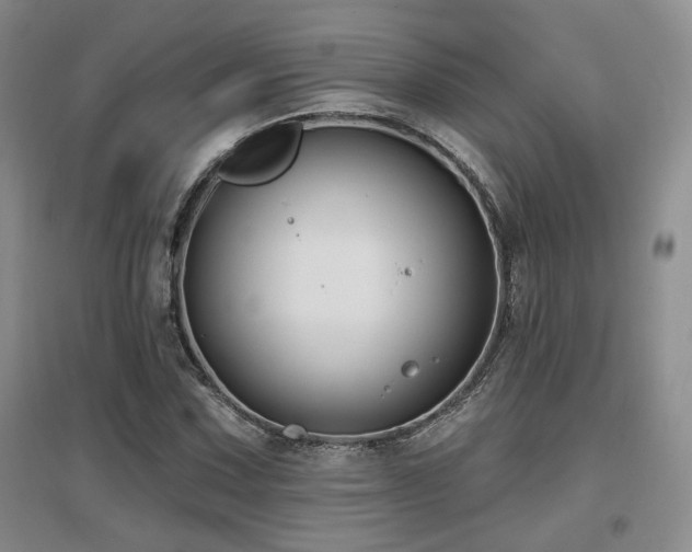 X0000097651067200802291445