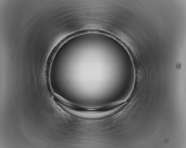 X0000097651068200802291445