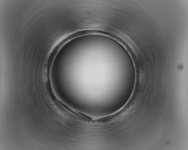 X0000097651069200802291445