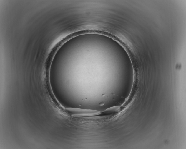 X0000097651070200802291445